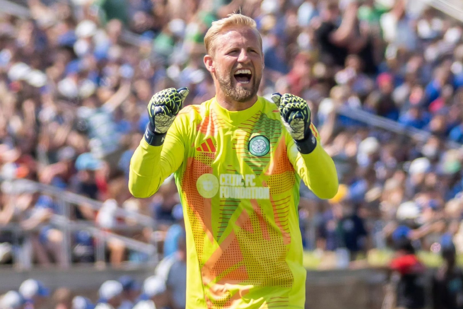 包含凯恩新星败北表现惊艳，塞尔维亚队未来可期！的词条